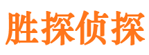 龙陵侦探公司